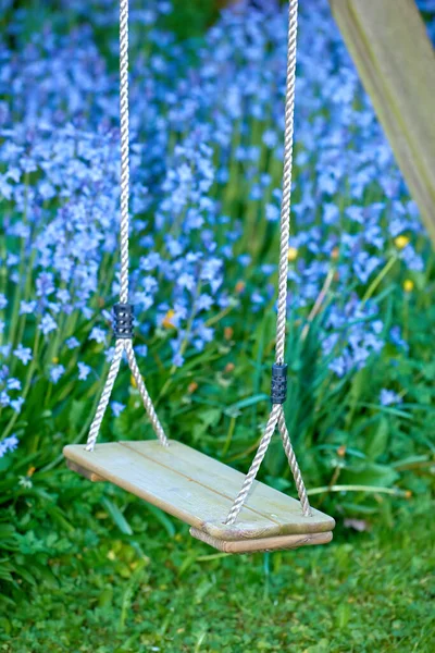 Old Wooden Swing Garden Blue Flowers Moss Lush Backyard Peaceful — Foto de Stock