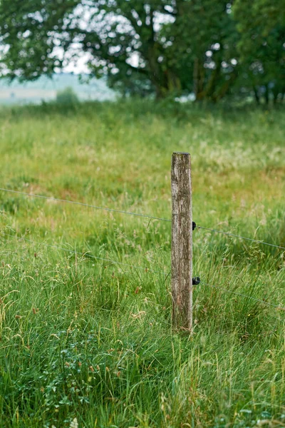 Wooden Post Electric Fence Used Border Secure Protect Farm Plains — Fotografia de Stock