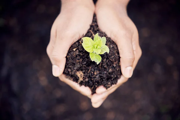 Just Plant Handful Hope Unrecognisable Person Holding Plant Growing Out — Stock Photo, Image