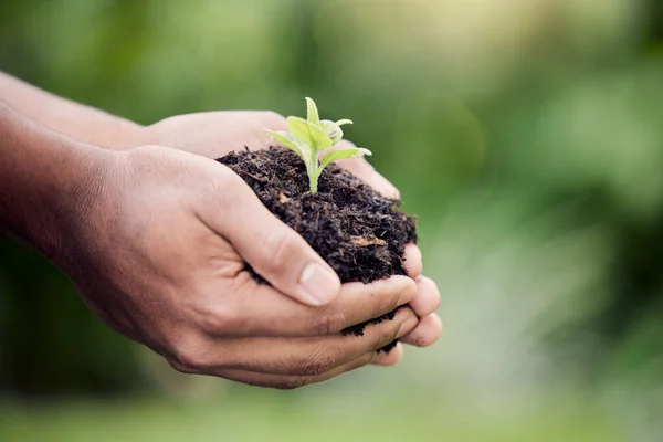 Green Clean Unrecognisable Person Holding Plant Growing Out Soil — Fotografia de Stock