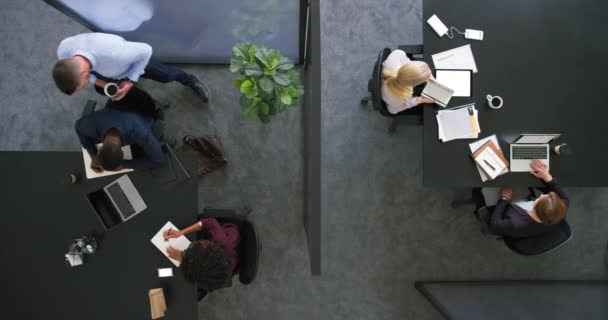 View Corprate Manager Walking Greeting Checking Diverse Team Colleagues Businesspeople — Stock Video