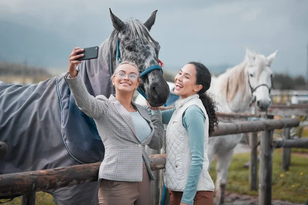 Fun of a different kind. two beautiful young women taking a selfie while posing with a horse