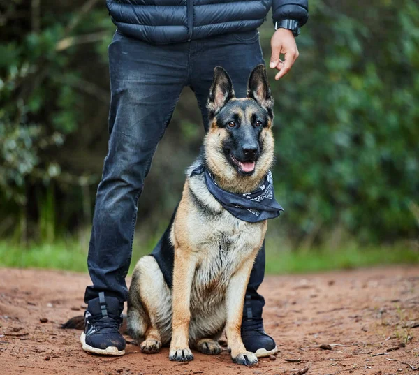 Make Life Adventure Man Spending Quality Time His Adorable German — 图库照片