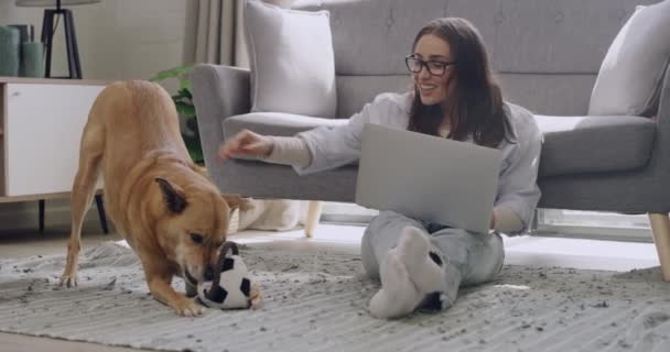 Young Woman Working Next Dog Female Doing Remote Business Writing — Stockvideo