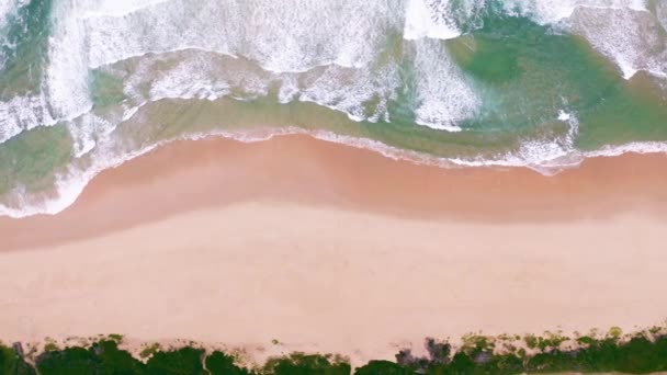 Video Footage Ocean Washing Pink Sanded Beach Day — 图库视频影像