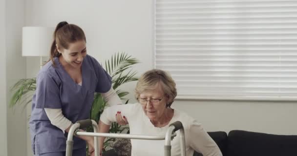 Video Footage Female Nurse Helping Elderly Patient Use Walking Frame — Stockvideo