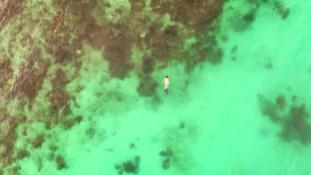 Video Footage Unrecognizable Woman Snorkelling Sea Day — Wideo stockowe