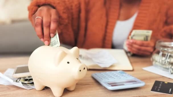 Finance Savings Investment Woman Planning Her Budget Home Closeup Female — Αρχείο Βίντεο