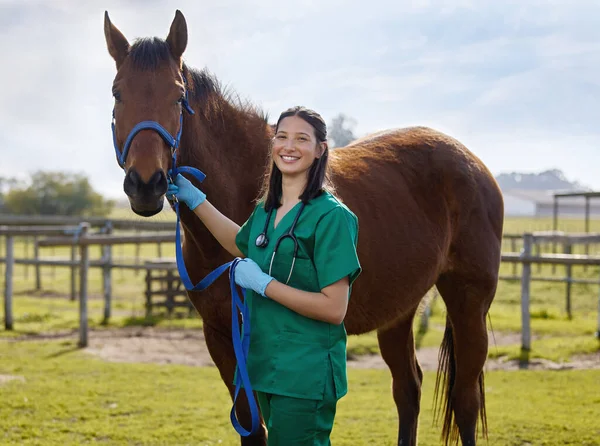 Another Day Another Happy Customer Young Veterinarian Putting Bandage Horse — ストック写真