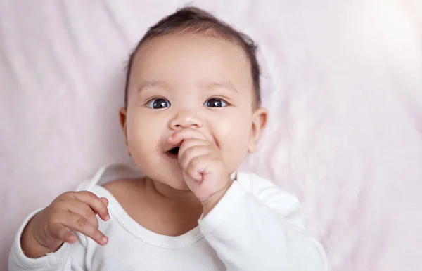 Just Wanna Stare His Cuteness All Day High Angle Shot — Stock Photo, Image