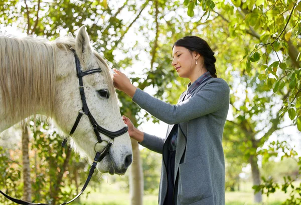 Taking Her Horse Out Day Attractive Young Woman Standing Her — Stockfoto