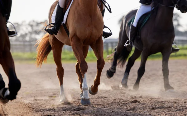 Fastest Hooves Win Group Unrecognizable Female Jockeys Riding Horses Out — 图库照片