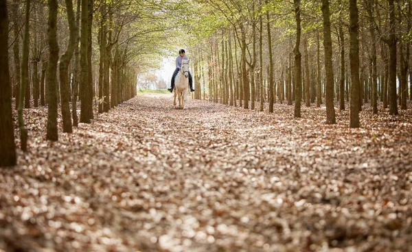 Horse Comes Alive Forest Full Length Shot Unrecognisable Woman Horseback — Stockfoto