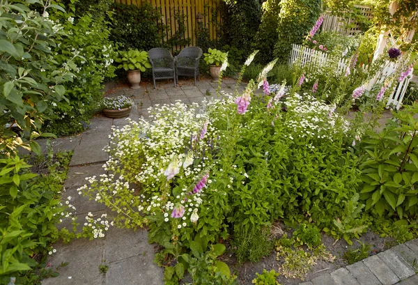 Top view of flowers, plants and shrubs growing in a backyard, garden or nature park in summer. Bushes, greenery and foxgloves blossoming in a yard or lawn for landscaping in spring from above.