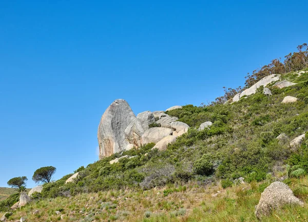 Prachtig Landschappelijk Uitzicht Een Berg Bedekt Met Weelderige Groene Planten — Stockfoto