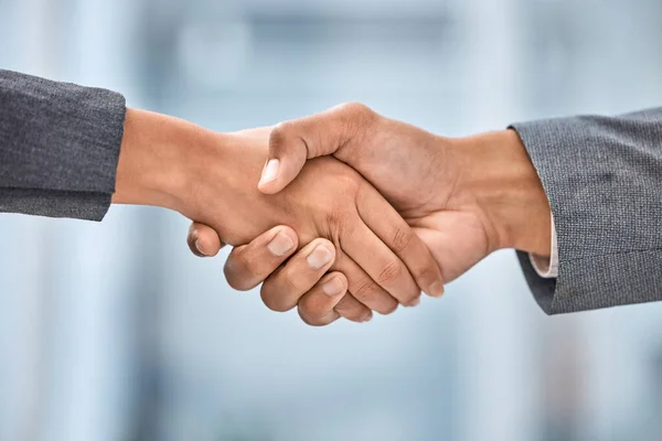 Ive Heard Much You Two Businesspeople Shaking Hands — Stockfoto