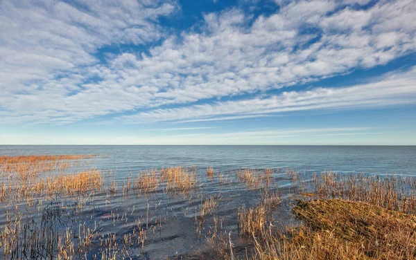 Sea Ocean Beach Coast Brown Grass Beautiful Open View Clouds — 스톡 사진