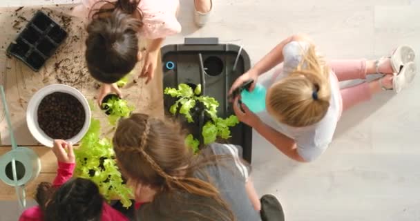 Students Young Children School Kids Learning Gardening Pot Plants Nature — Vídeo de Stock