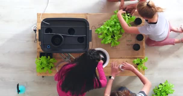 Studenti Děti Děti Učí Pozorují Organizují Rostliny Při Studiu Botaniky — Stock video