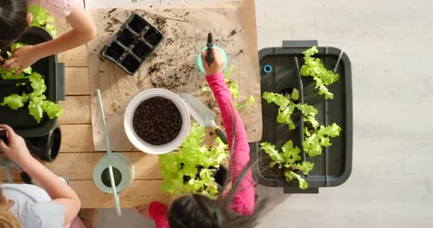 Kids Gardening Home School Learning Take Care Plants Ecology Top — Stock videók