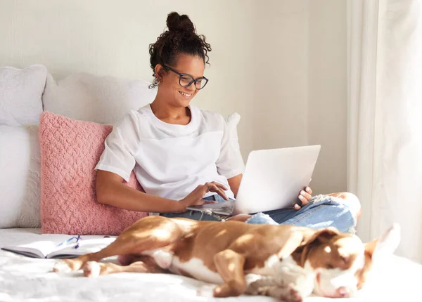 Sorry Cant Dog Wants Chill Beautiful Young Woman Using Laptop — Stok fotoğraf