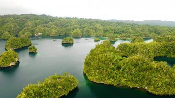 Endonezya Daki Güzel Raja Ampat Adalarının Video Görüntüleri — Stok video