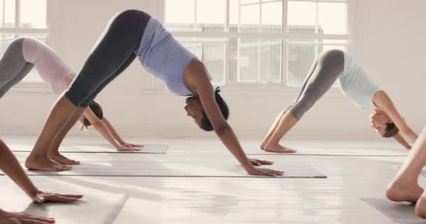 Video Footage Group Young Woman Exercising Yoga Studio Together — Vídeos de Stock