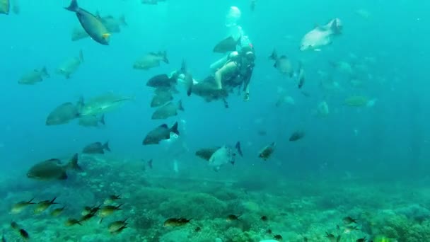 Imágenes Video Joven Guapo Buceando Largo Los Arrecifes Coral Raja — Vídeo de stock