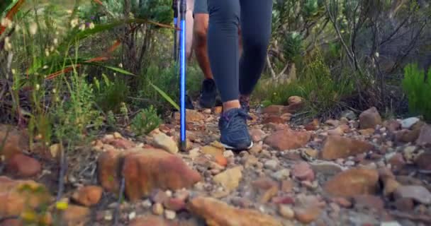 Closeup Hikers Walking Stones Rocky Trail Mountain Hiking Sticks Group — стоковое видео