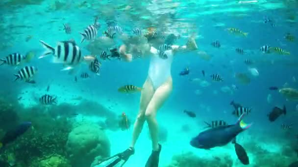 Imágenes Video Una Atractiva Joven Haciendo Snorkel Los Arrecifes Coral — Vídeos de Stock