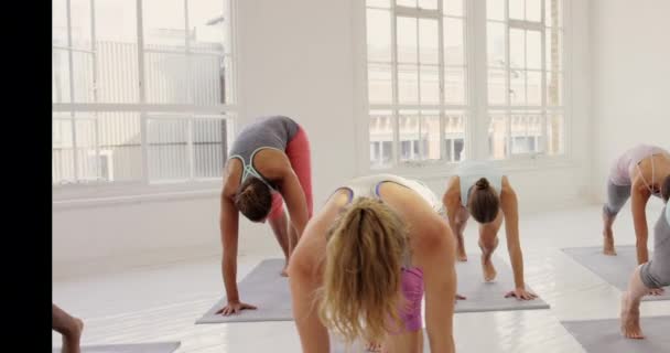 Imágenes Video Grupo Mujeres Jóvenes Haciendo Ejercicio Juntas Estudio Yoga — Vídeos de Stock