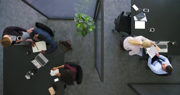 Colleagues Collaborating Develop New Ideas Group Busy Employees Working Together — Vídeo de stock