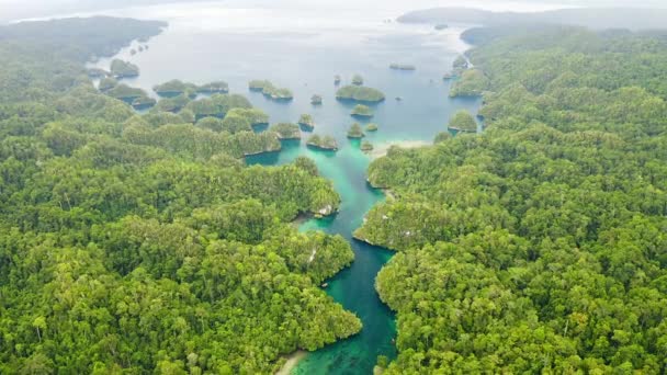Video Footage Beautiful Raja Ampat Islands Indonesia — Vídeos de Stock