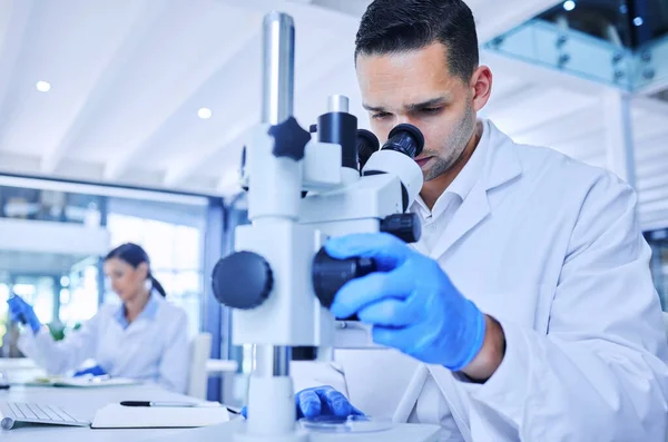 Microscope Handsome Young Male Scientist Working Microscope His Lab Colleague — Stockfoto