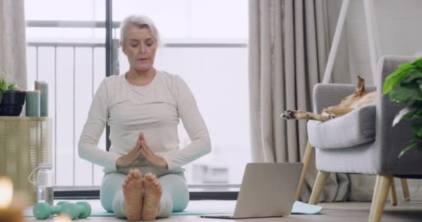 Woman Watching Yoga Class Laptop Practice Stretching Home Zen Lesson — Stockvideo