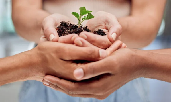 Growth Slow Process Two Unrecognizable People Holding Plants Growing Out — Stockfoto