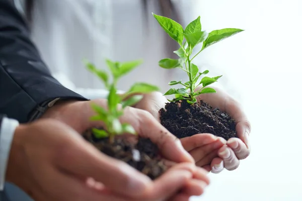 Must Protect Nature Want Grow Two Colleagues Holding Plants — Stock Photo, Image