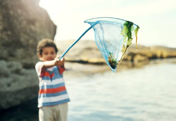 Caught Some Seaweed Young Boy Holding Fishing Net Beach — Stock Photo, Image