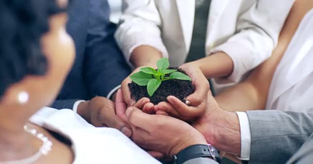 Team Working Together Hands Holding Green Plant Investment Growth Group — Stockvideo