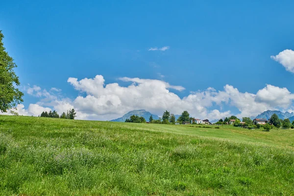 Countryside Farmland Forest Close Lyon France Series Photos Countryside Farmland — Stockfoto