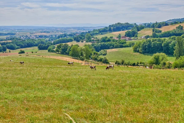 Countryside Farmland Forest Close Lyon France Series Photos Countryside Farmland — 图库照片