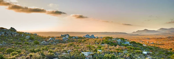 The wilderness of Cape Point National Park. The wilderness of Cape Point National Park, Western Cape, South Africa