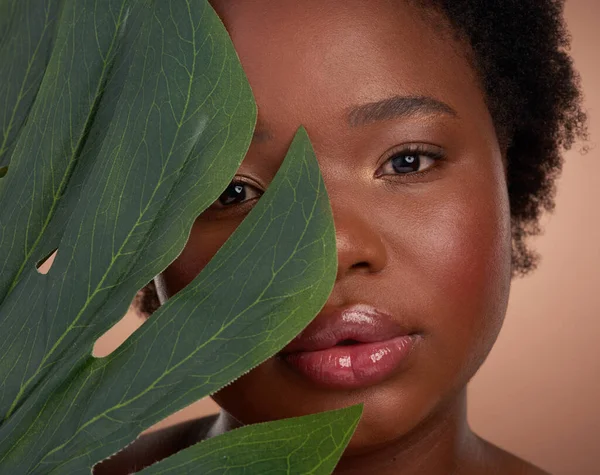 Natural Beauty Studio Portrait Beautiful Young Woman Posing Palm Leaf — Fotografia de Stock
