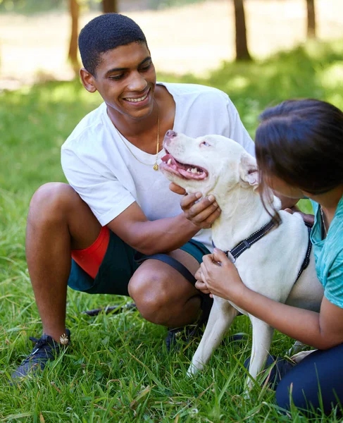 Enjoying Family Time Young Couple Dog Enjoying Day Nature — Stok fotoğraf