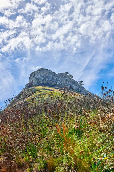 Photo Lions Head Cape Town Photo Lions Head Surroundings Cape — Fotografia de Stock