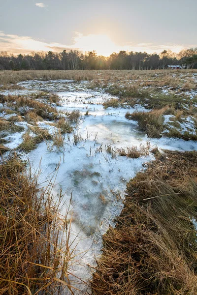 Dánská Zimní Krajina Pobřeží Kattegatu Fotografie Dánské Zimy Pobřeží Kattegatu — Stock fotografie