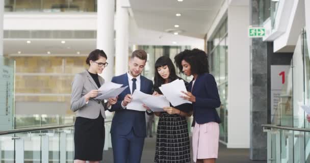 Business People Office Reading Paperwork Together Group Colleagues Comparing Scores — Video Stock