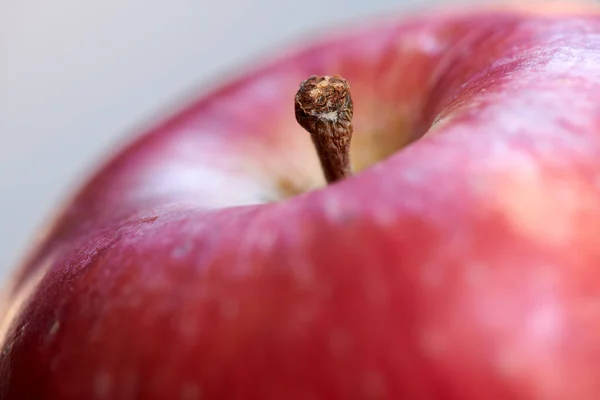 Red Apples in my garden. A photo of tasty and beautiful apples in my garden