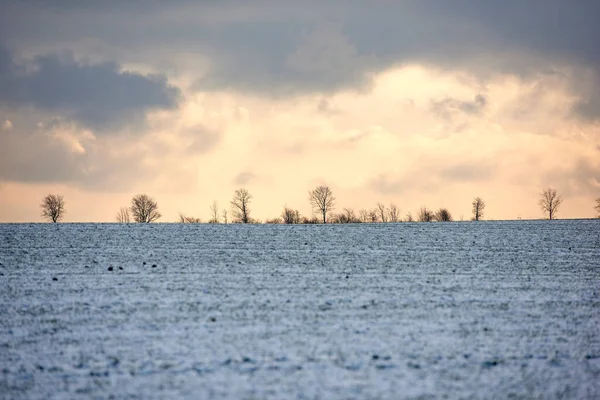 Wintertime Countryside Denmark Danish Farmland Wintertime — 스톡 사진