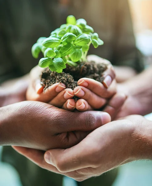 Closeup Green Natural Eco Friendly Group Hands Holding Planting Soil — 图库照片